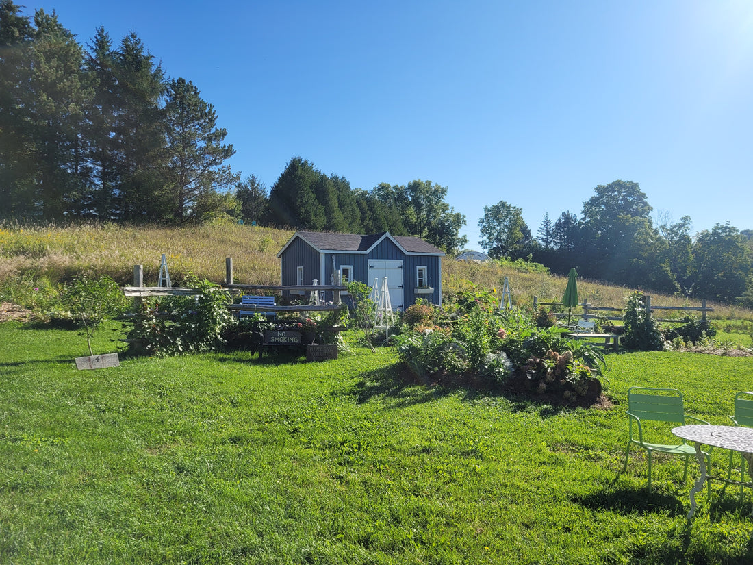 Country Cut Flowers - Newmarket Ontario