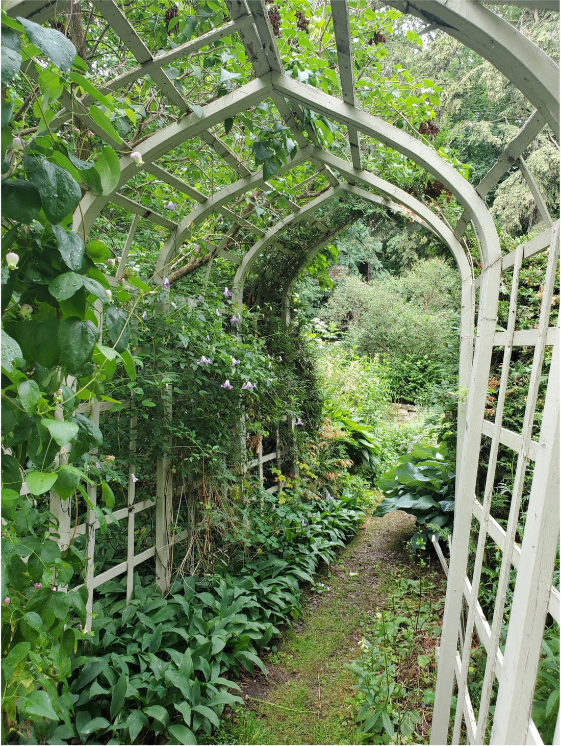A Glimpse of Inspiration…
