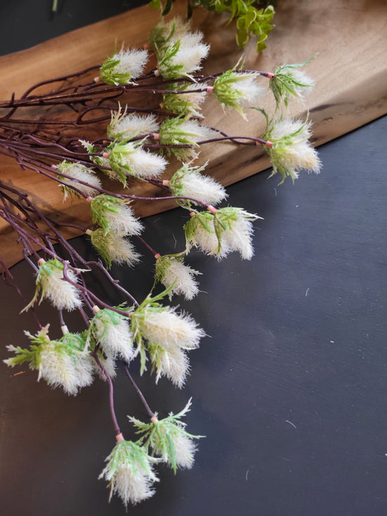 Thistle stem