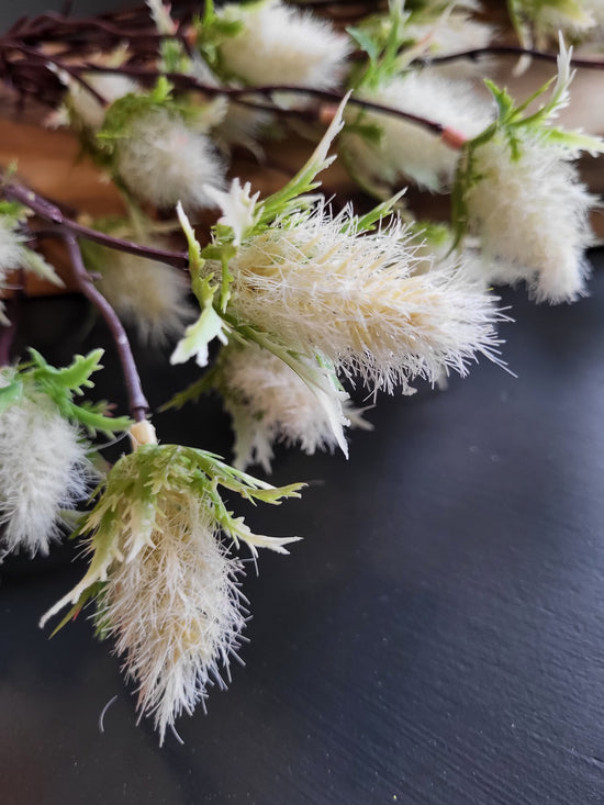 Thistle stem