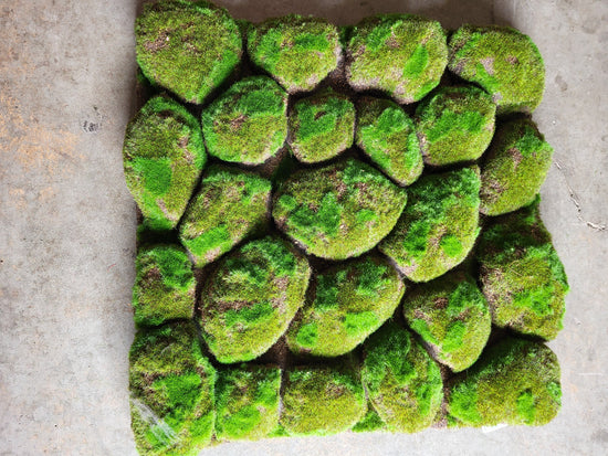Faux Moss Sheet