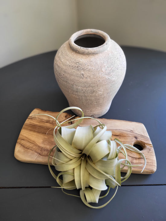 Small Egypt Urn