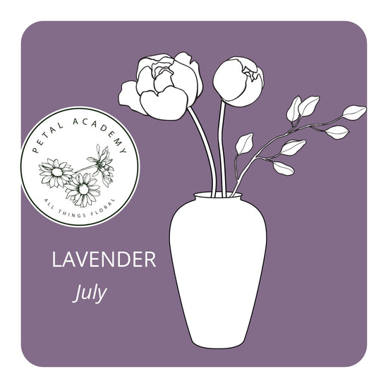 July Monthly Box