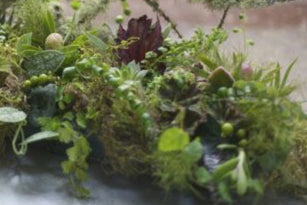 DIY floral design kit mossy forest arrangement GTA Toronto Floral Design Class