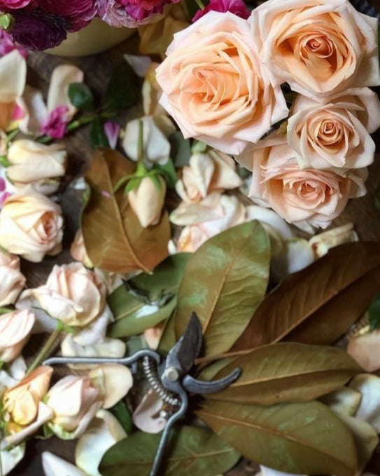 Learn Floral design GTA virtual classes diy kits