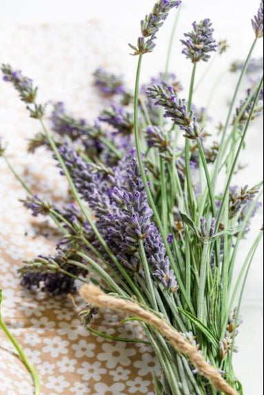 Lavender DIY floral kit