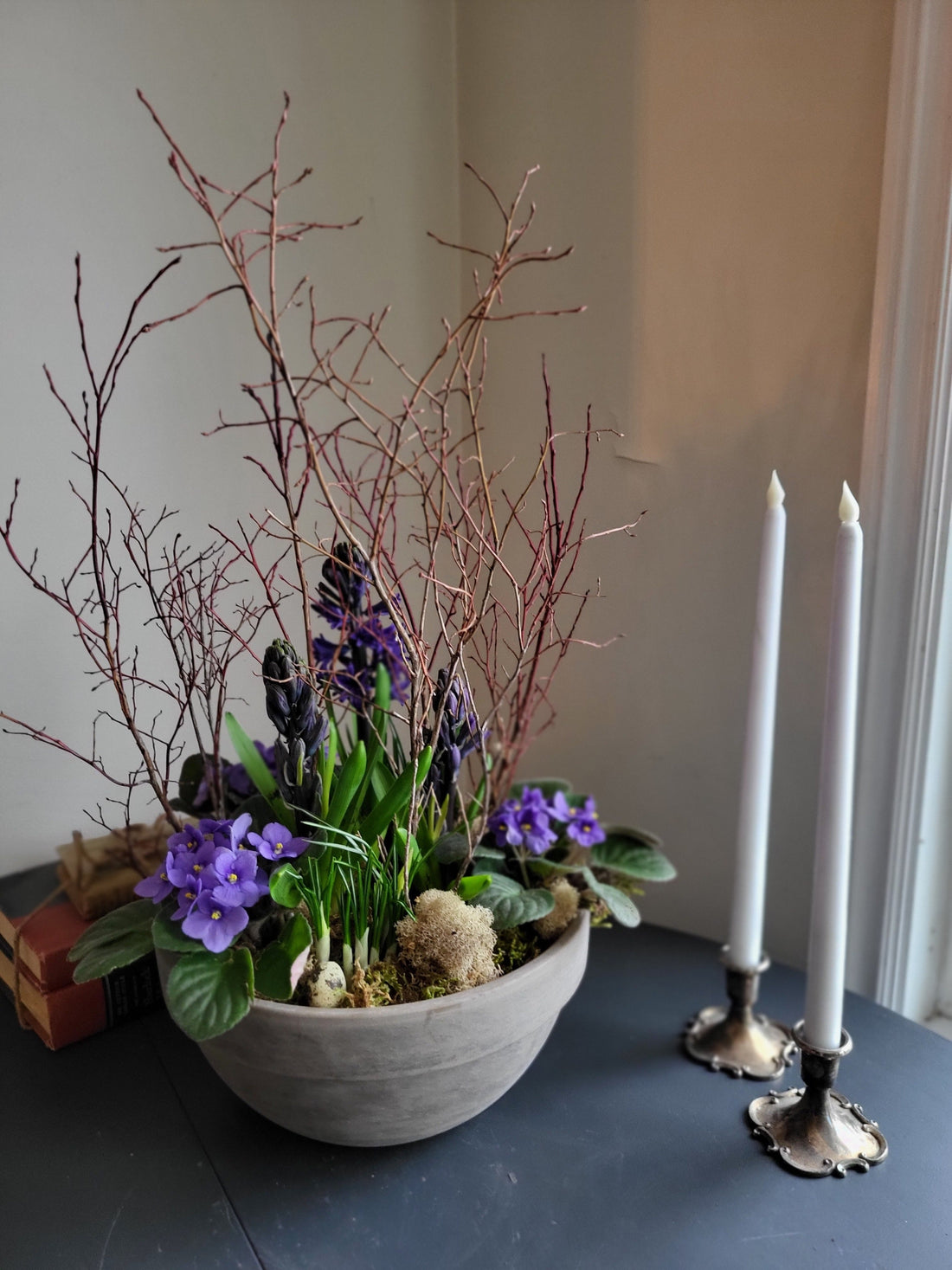 Petal Academy Spring Planter kits with violets & Bulbs