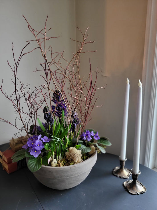 Petal Academy Spring Planter kits with violets & Bulbs