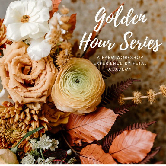 Golden Hour Series: Sips, Stems & Seasonal Blooms Sept 10th