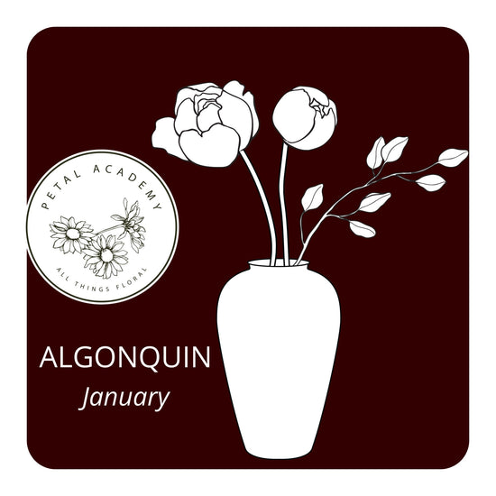 January Monthly Box