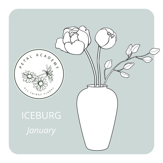 January Monthly Box