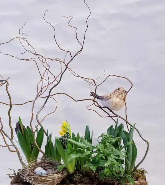 Decorative arrangement with a bird, nest, and plants on a wooden base against a light background Petal Academy learn online floral education Canada