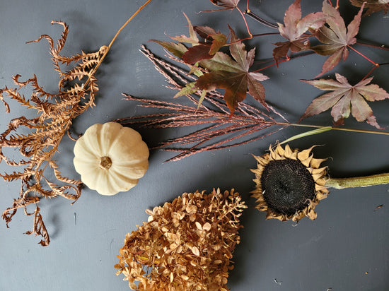 October Monthly Box