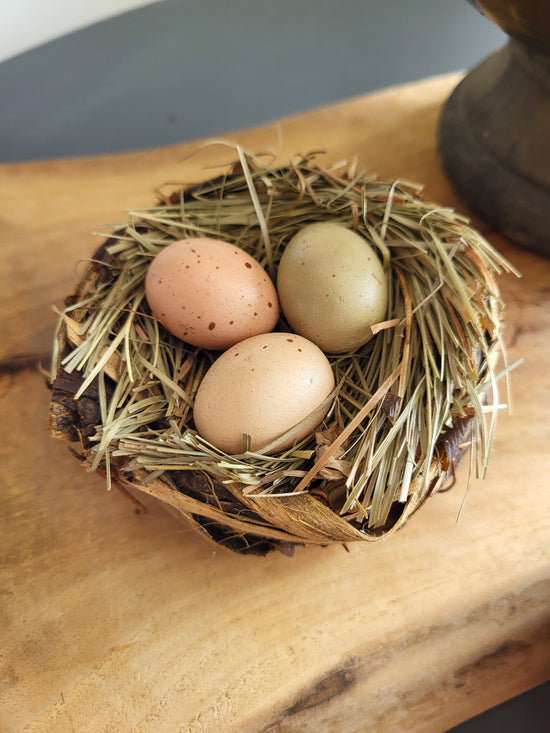 Springtime Egg Nest
