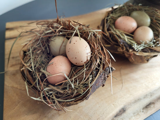 Springtime Egg Nest