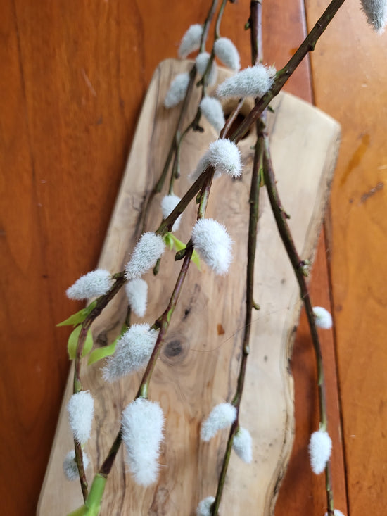 Faux Pussy Willow