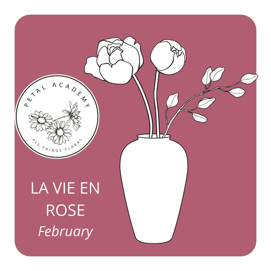 February Monthly Box