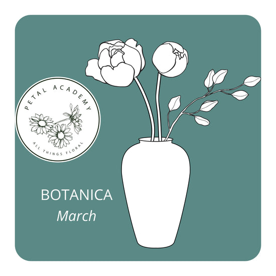 March Monthly Box