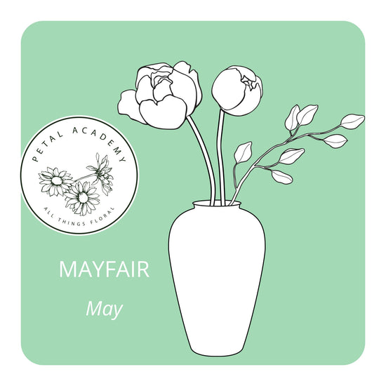 May Monthly Box