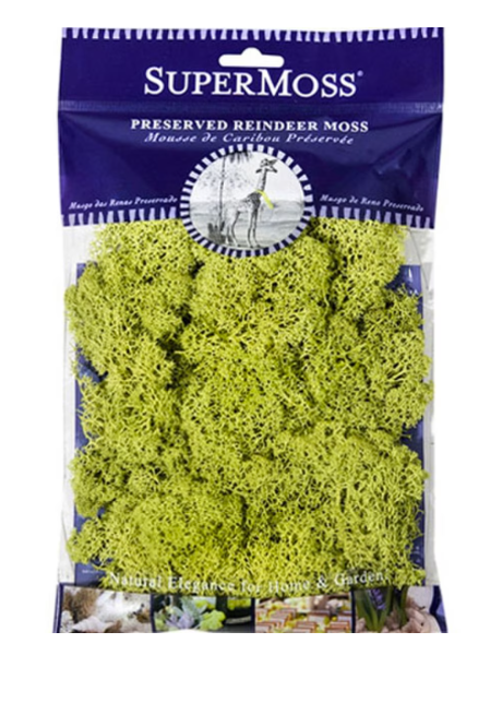 Reindeer Moss
