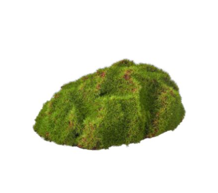Moss rocks