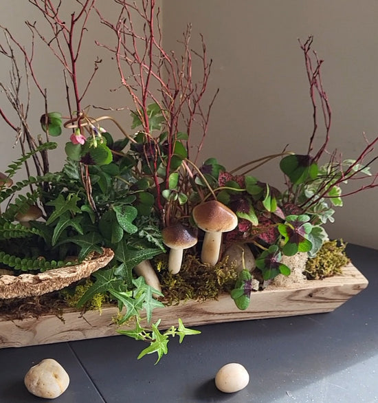 Fern & Ivy Planter Video