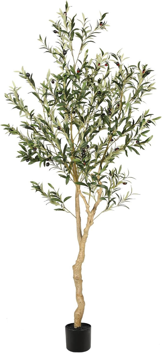 Classic Olive Tree // Faux