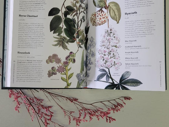 Flowers and Their Meanings